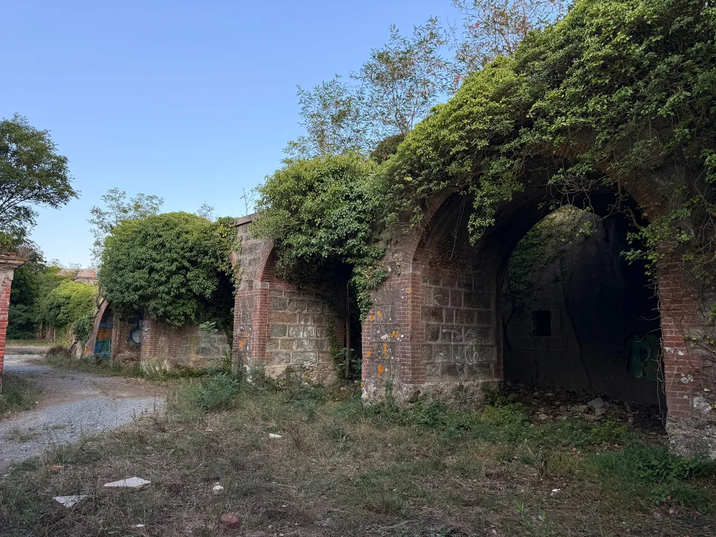 The Hill Behind the Beach — photograph 2