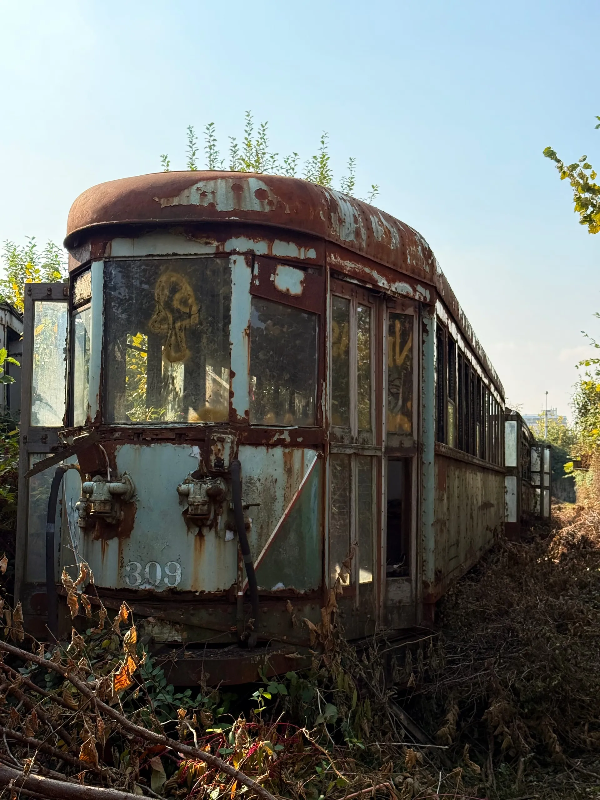 End of the Line — photograph 2