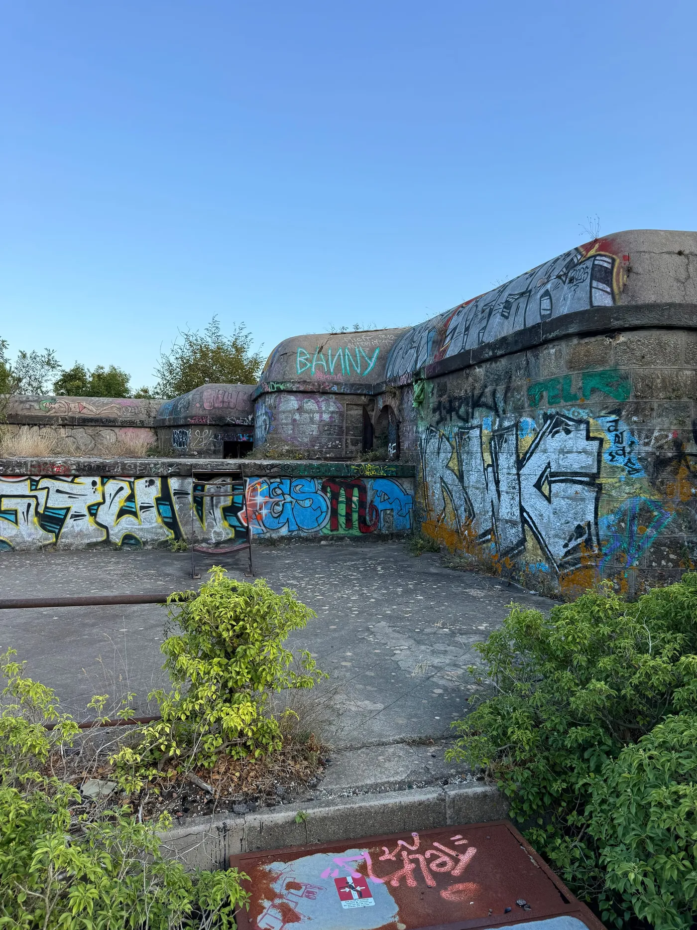 The Hill Behind the Beach — photograph 3