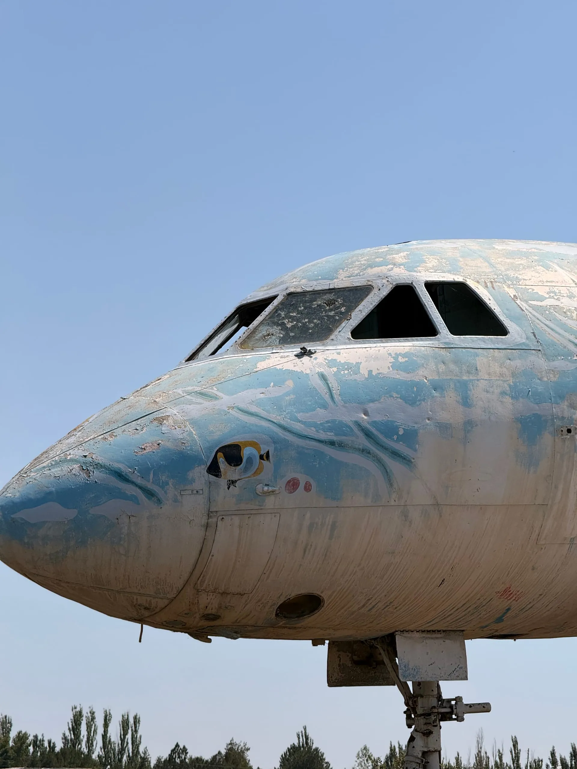 Grounded — photograph 3
