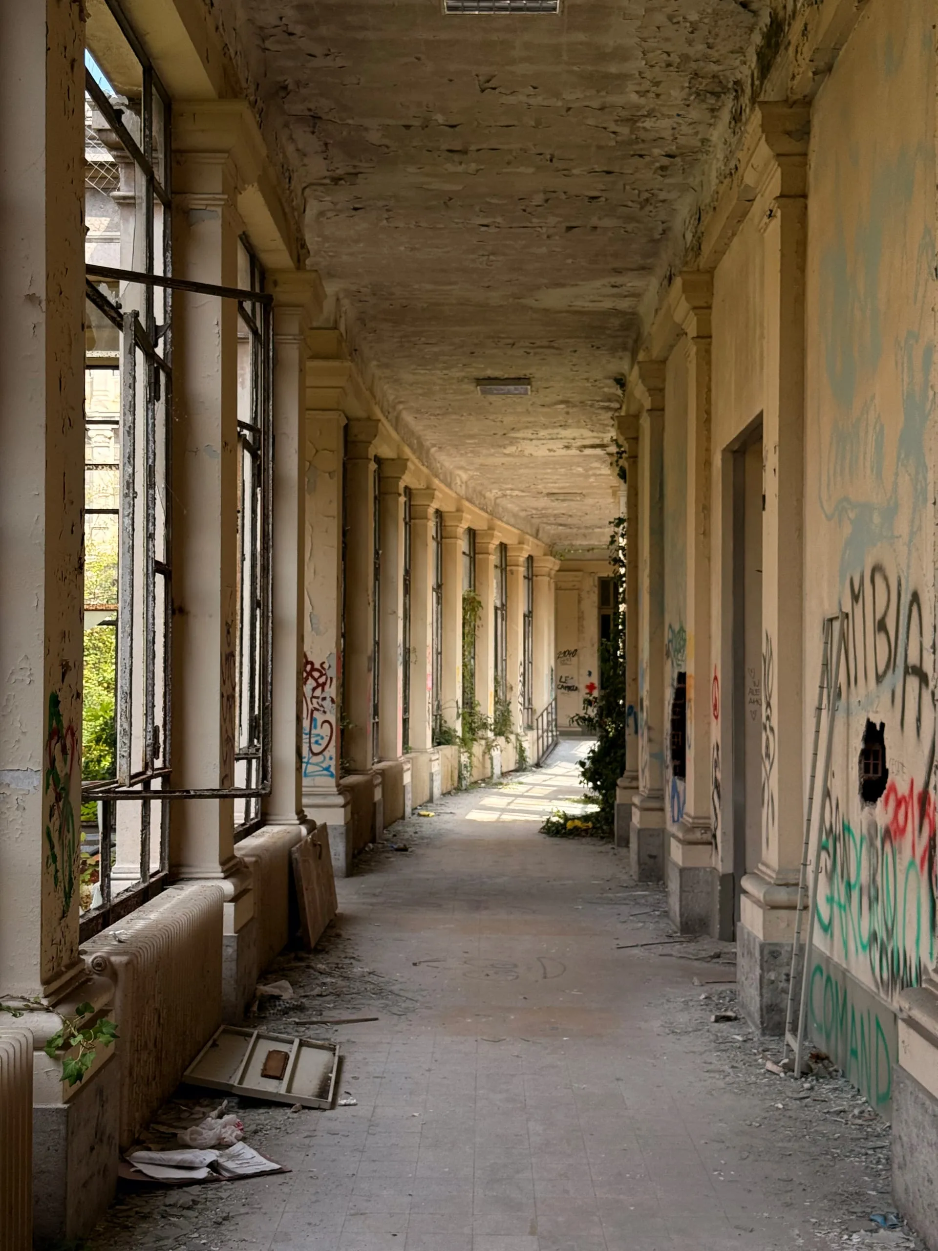 The Air Cure — photograph 3