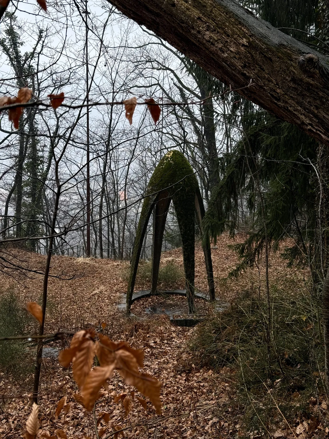 Gethsemane — photograph 3