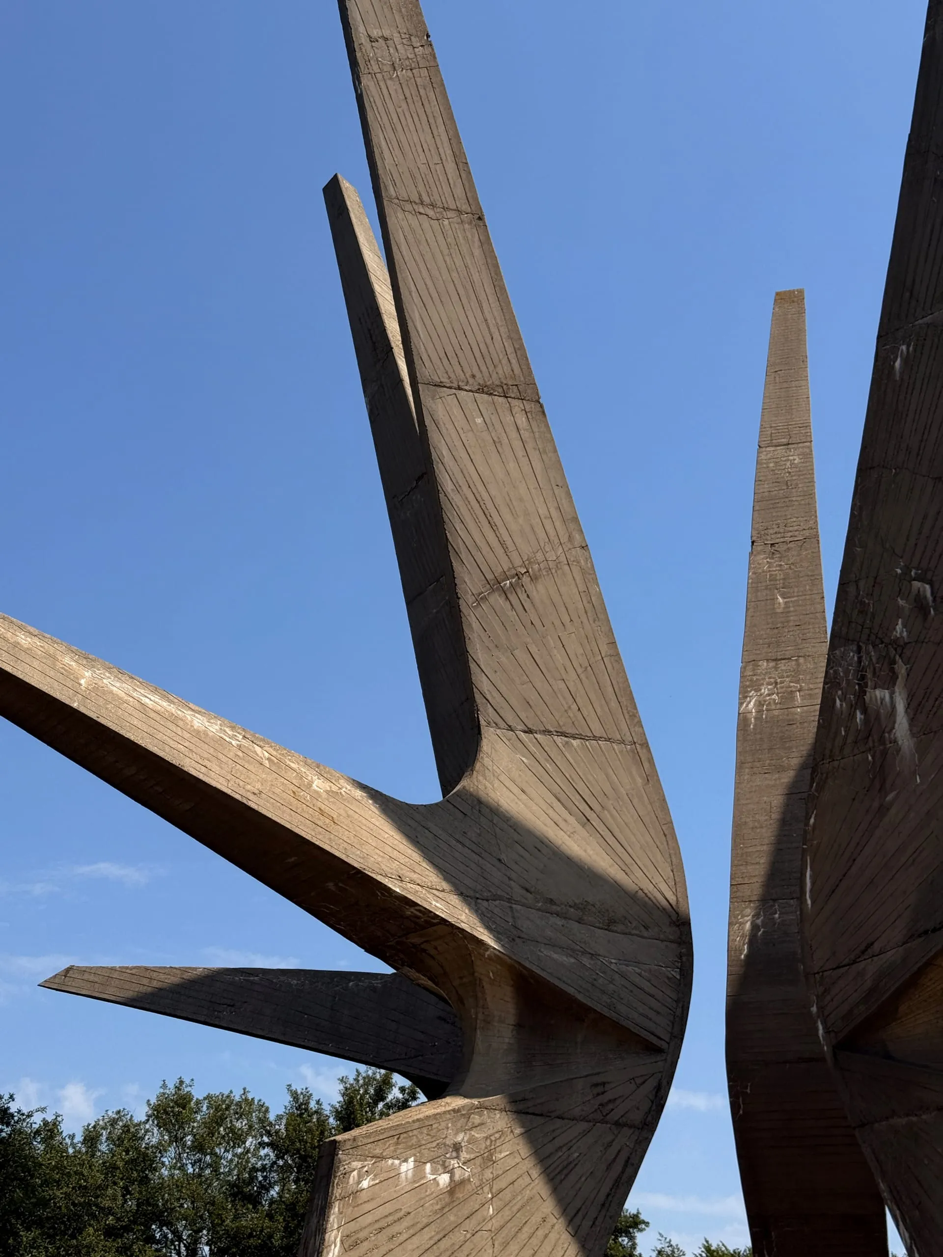 Kosmaj — photograph 3