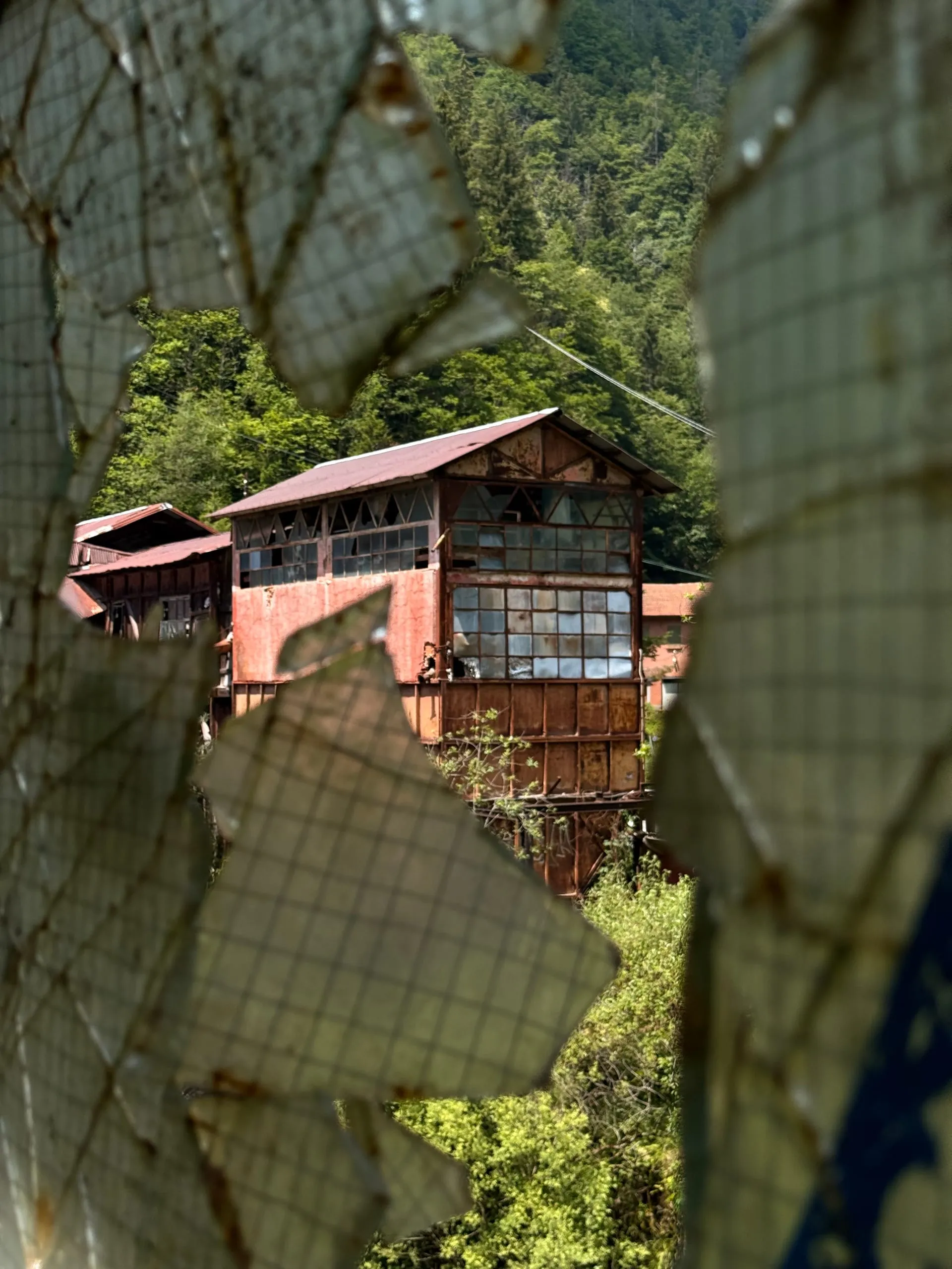 Miniera Torgola — photograph 3