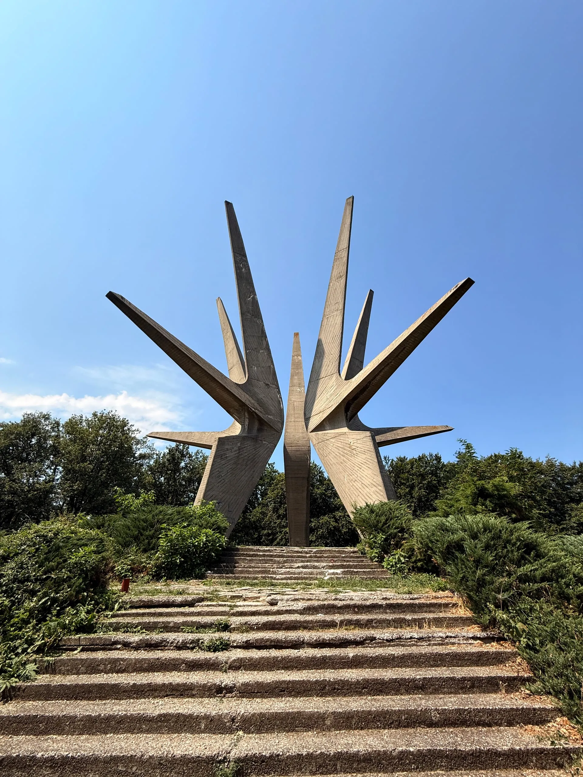 Kosmaj — photograph 4