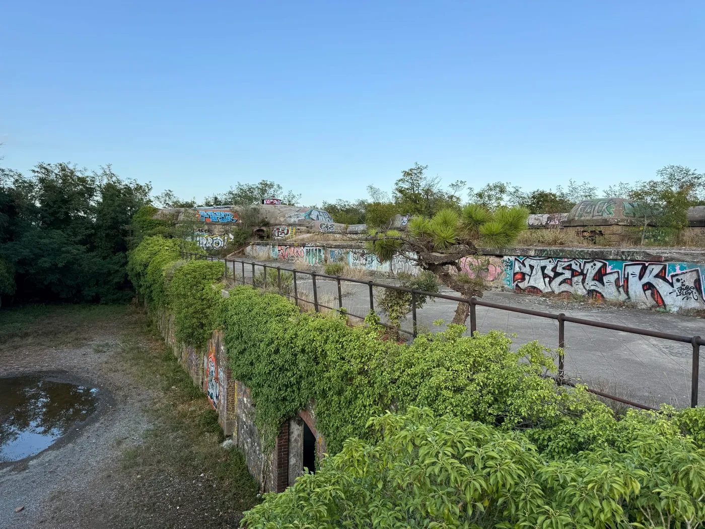 The Hill Behind the Beach — photograph 4