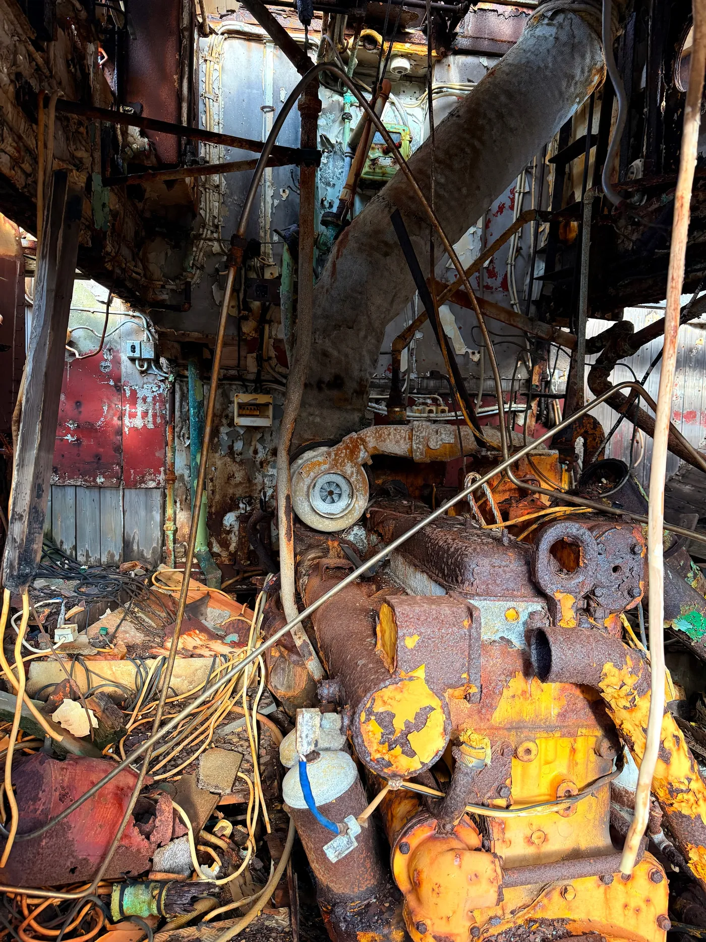 Home Port — photograph 5