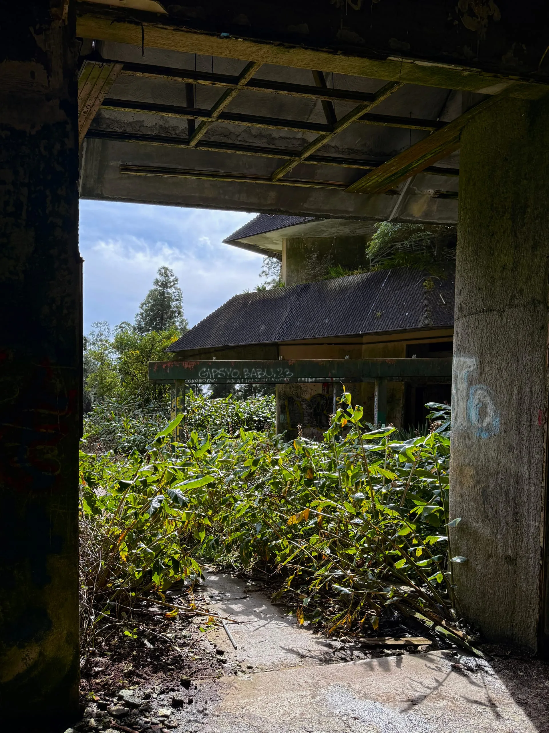 Built for the View — photograph 5