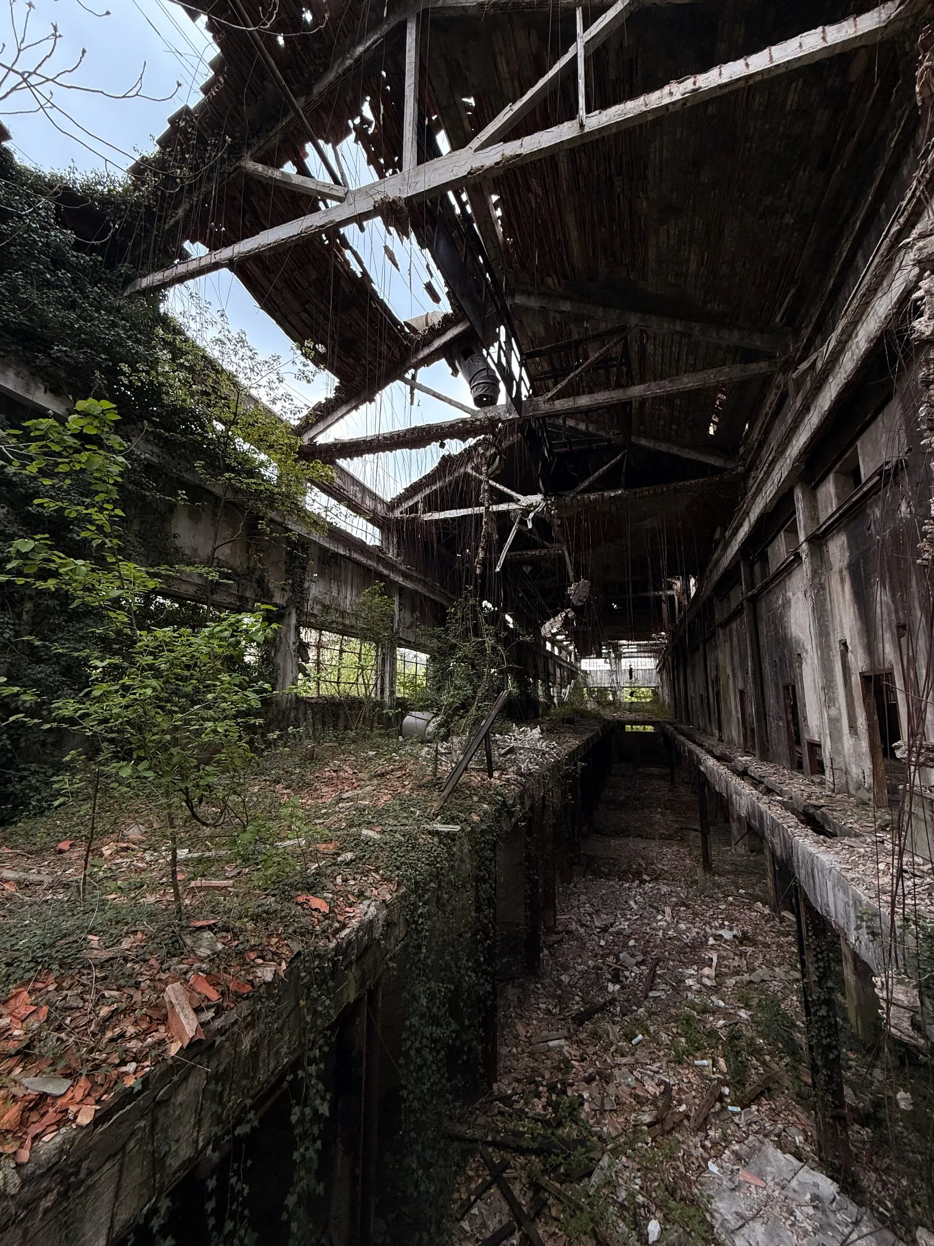 Cartiera Vita Mayer — photograph 5