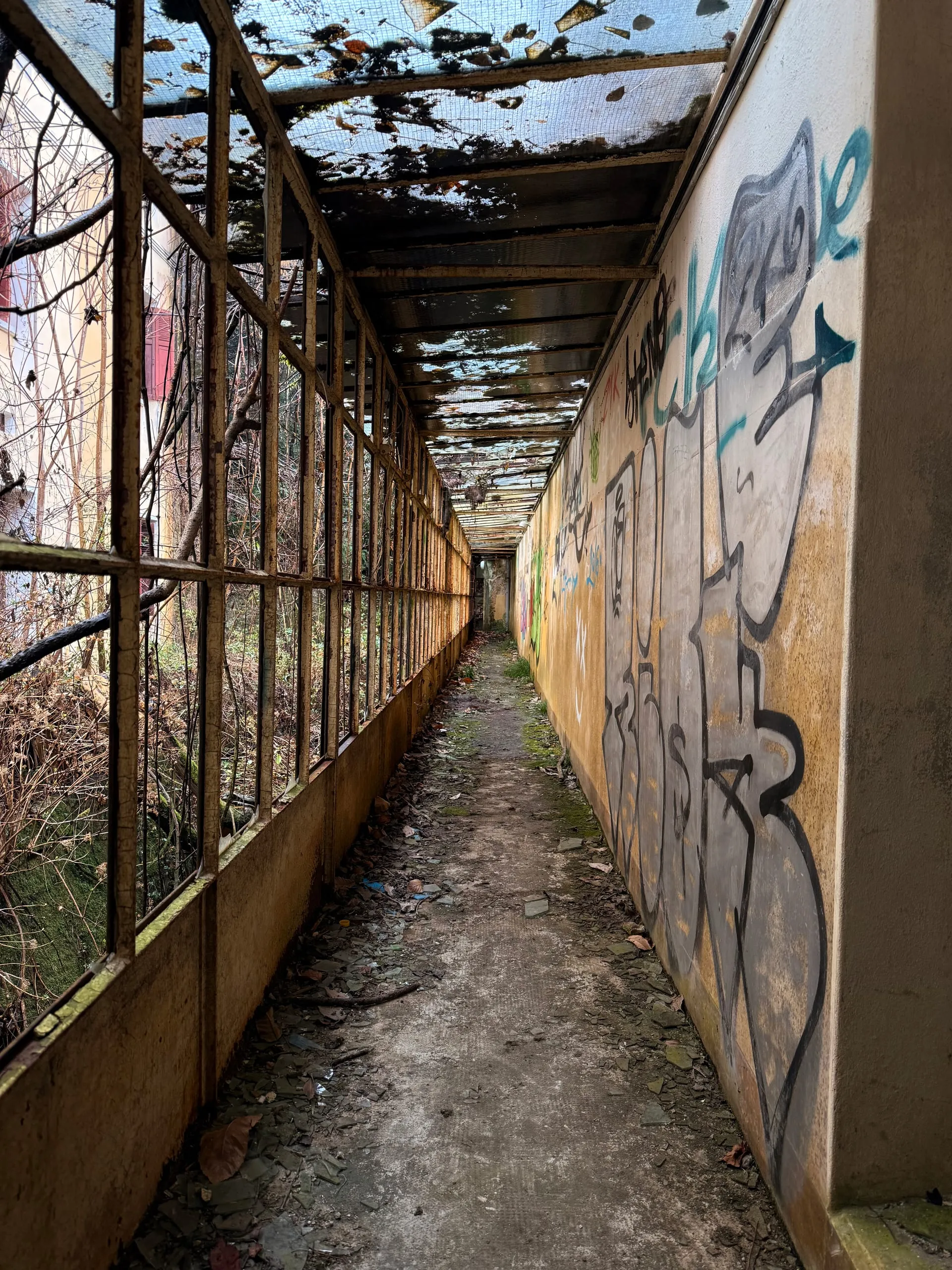 Colonia Motta — photograph 5