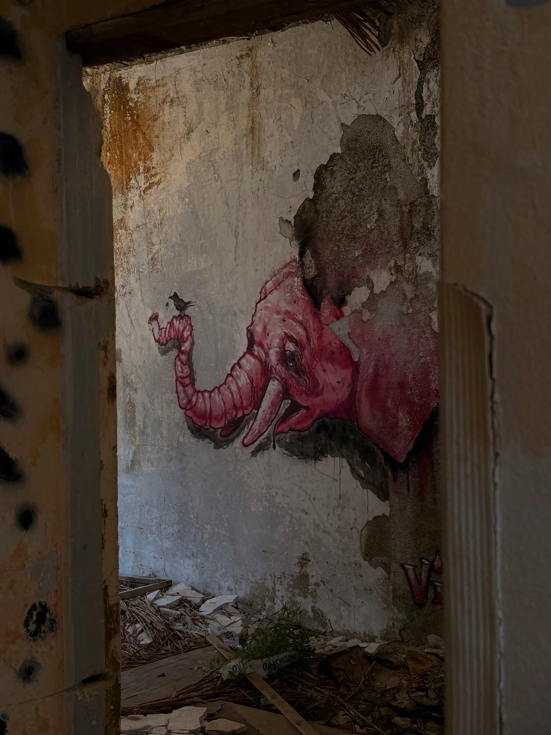 Krvavica — photograph 6