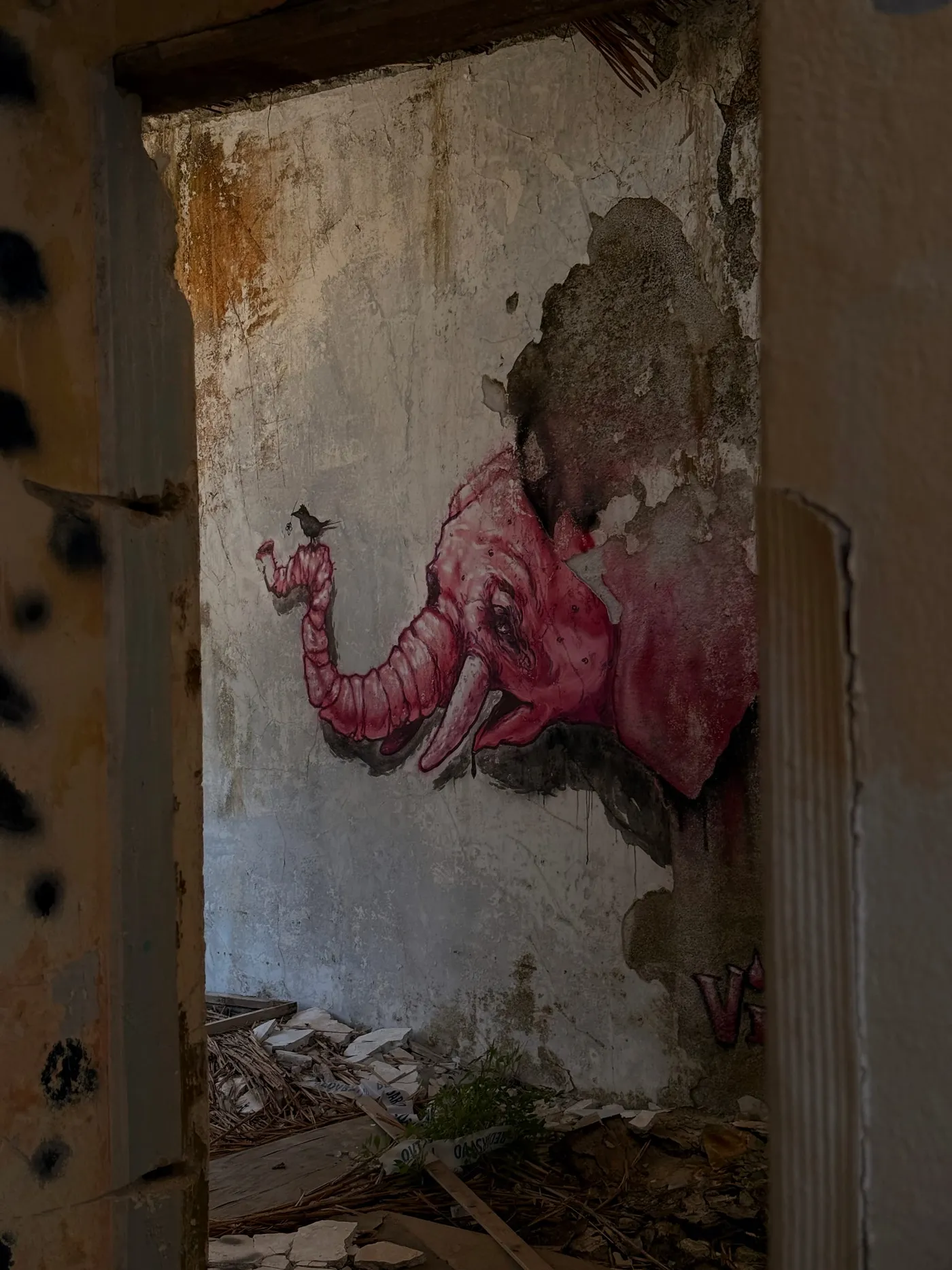 Krvavica — photograph 6