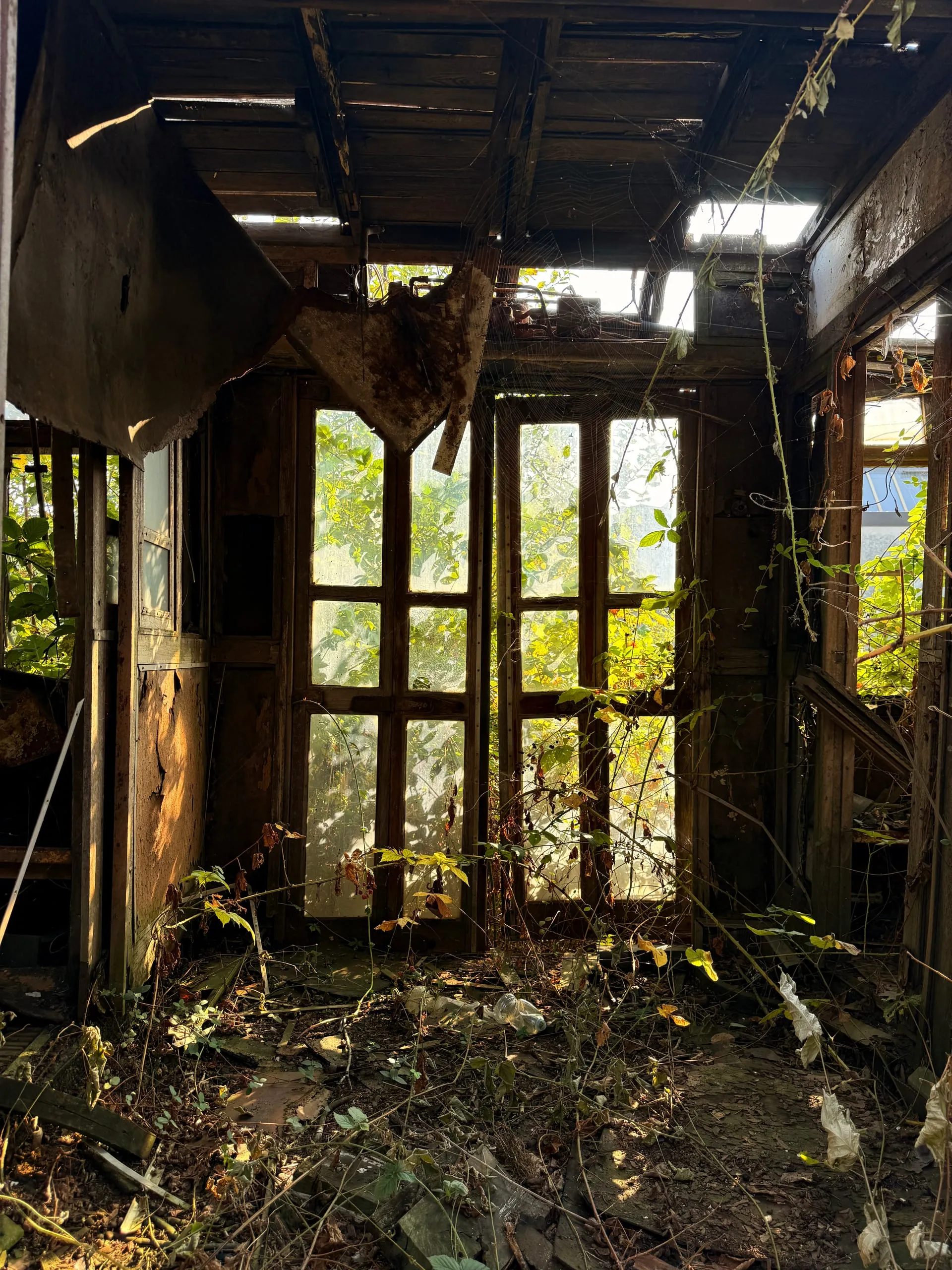 End of the Line — photograph 6