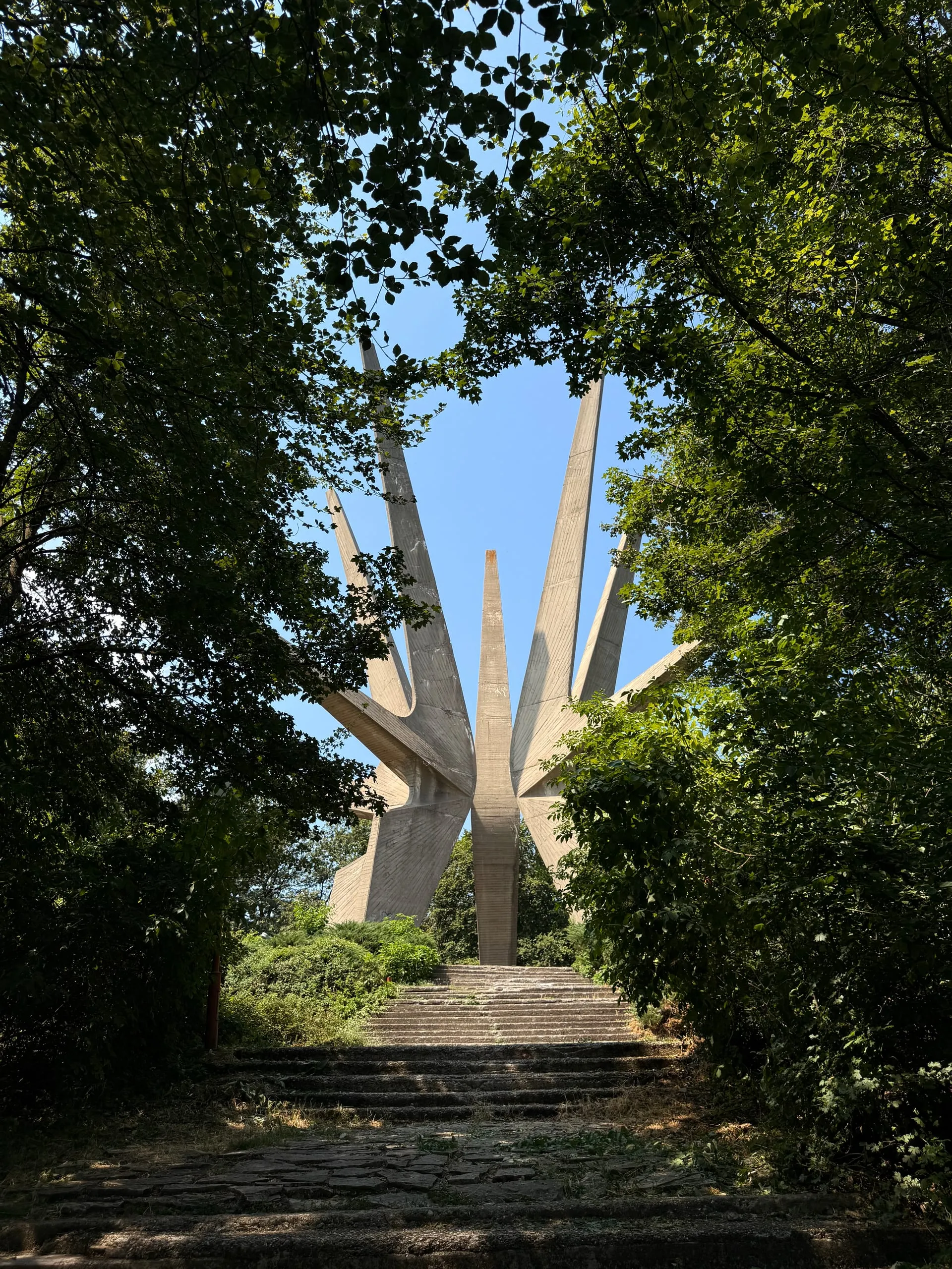 Kosmaj — photograph 6