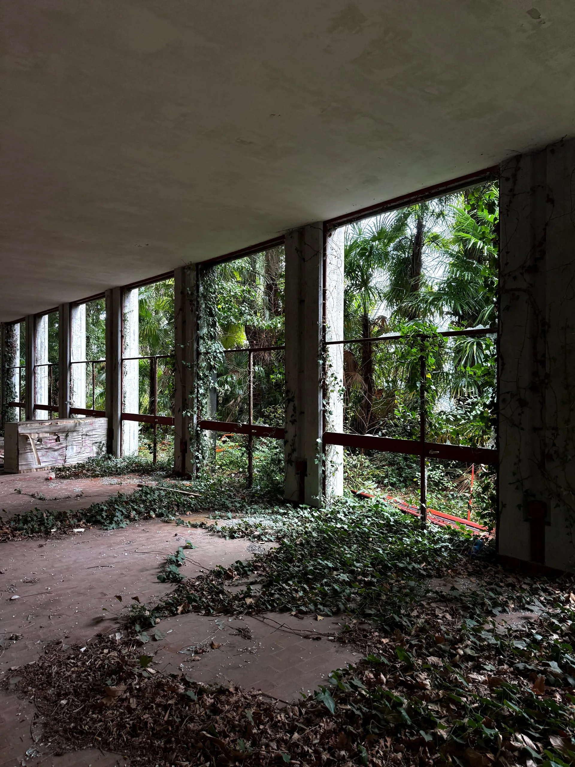 Colonia Motta — photograph 7