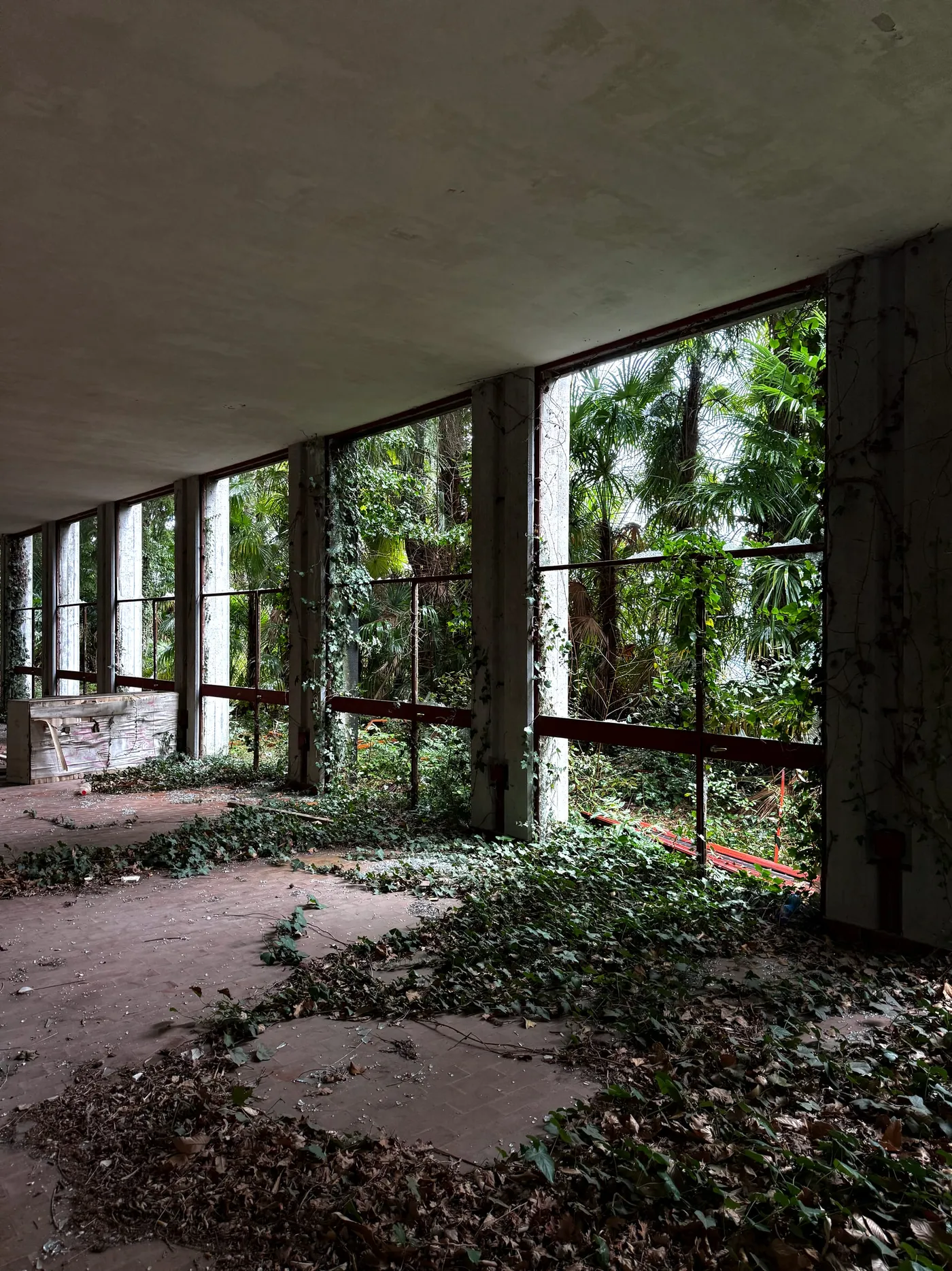Colonia Motta — photograph 7
