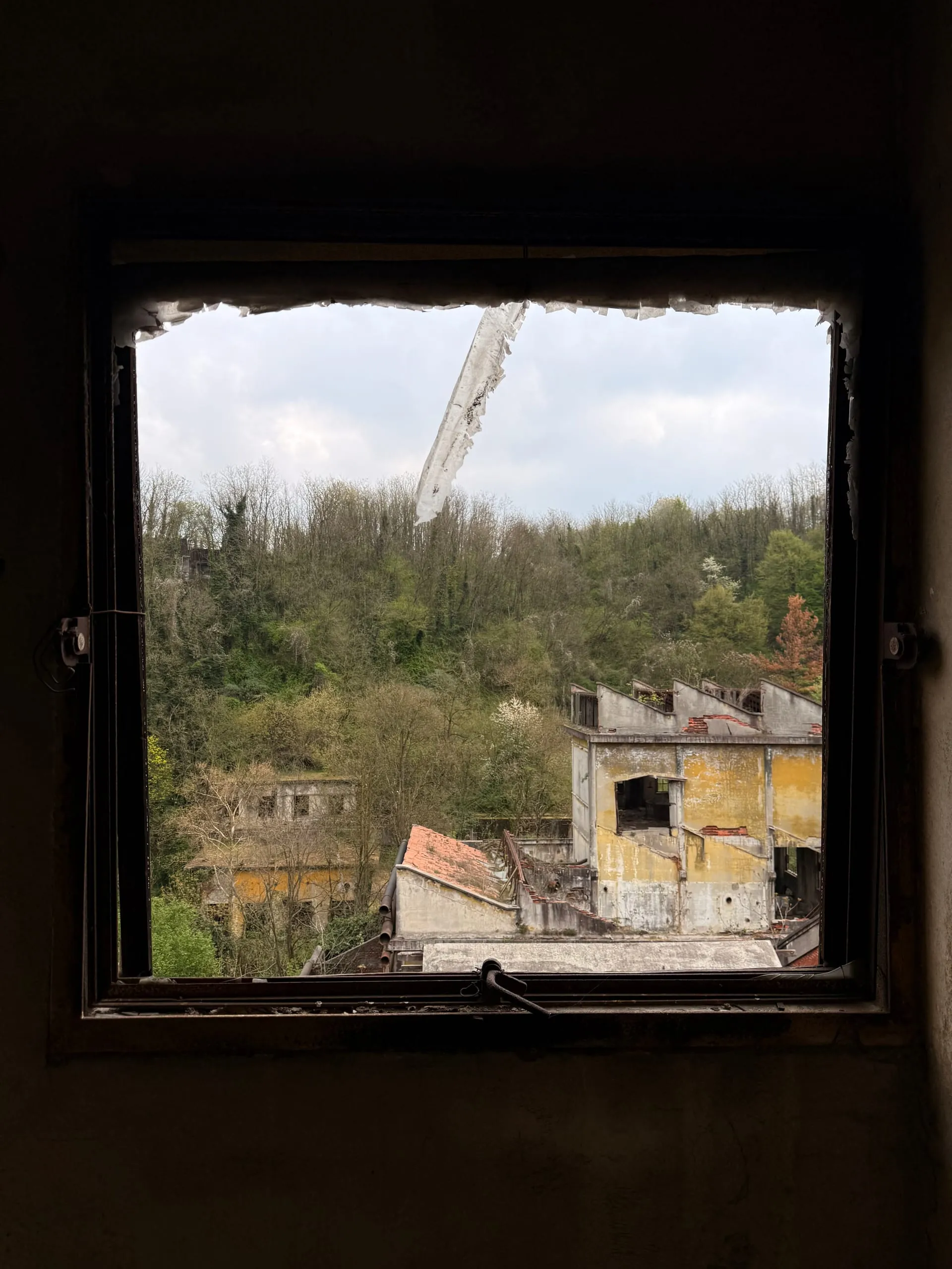 Cartiera Vita Mayer — photograph 7
