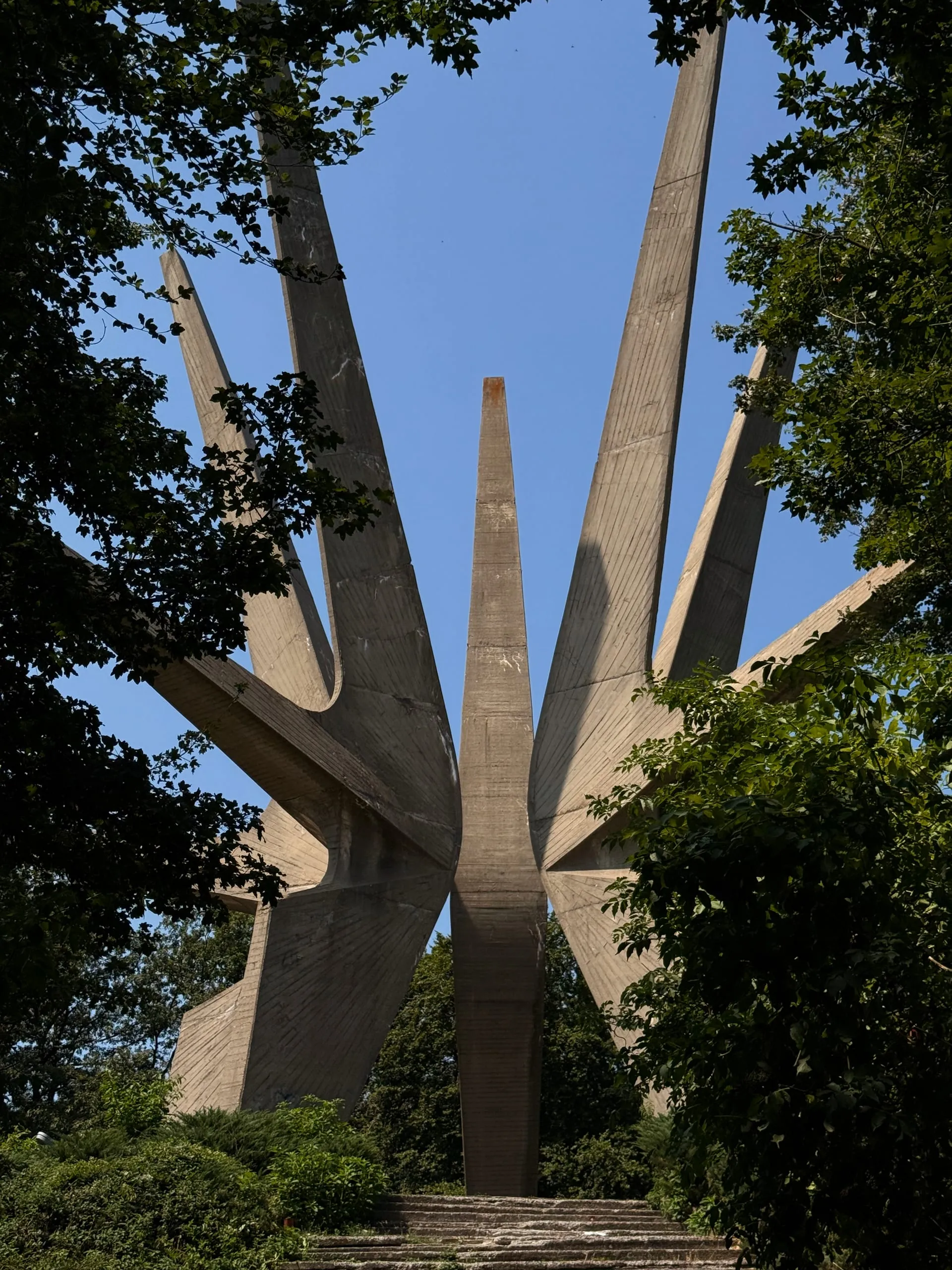 Kosmaj — photograph 8