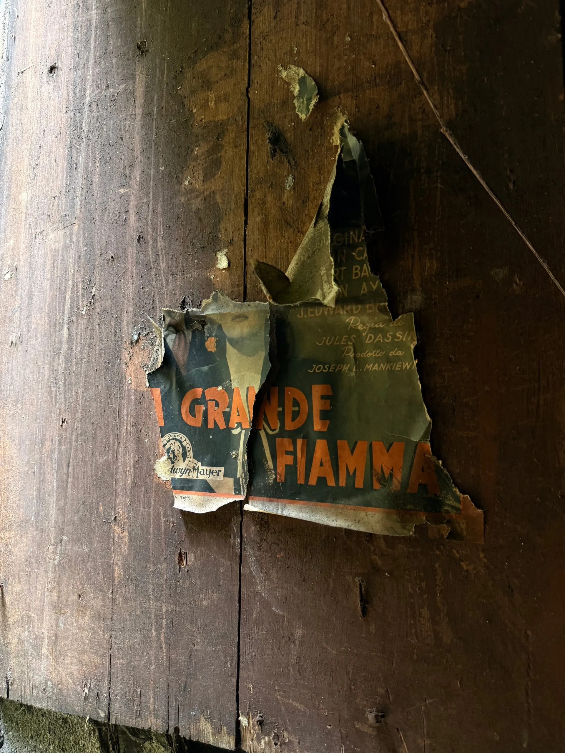 Politeama — photograph 9