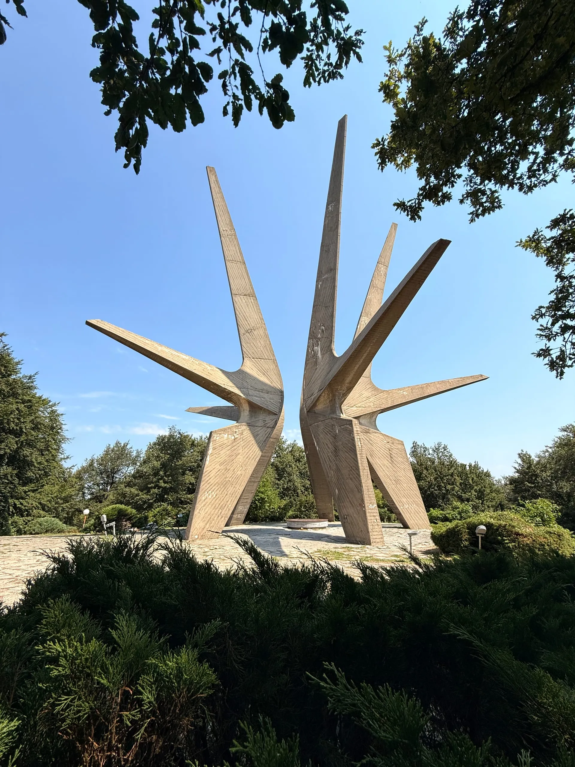 Kosmaj — photograph 9