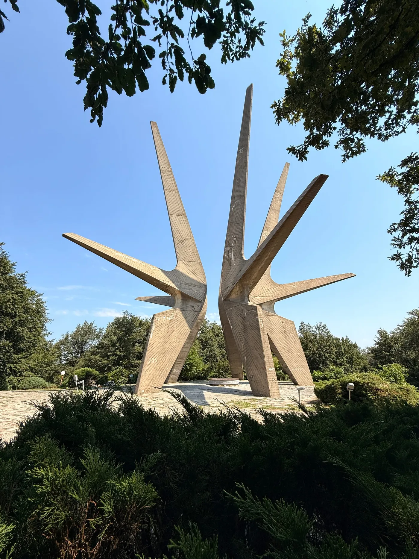 Kosmaj — photograph 9