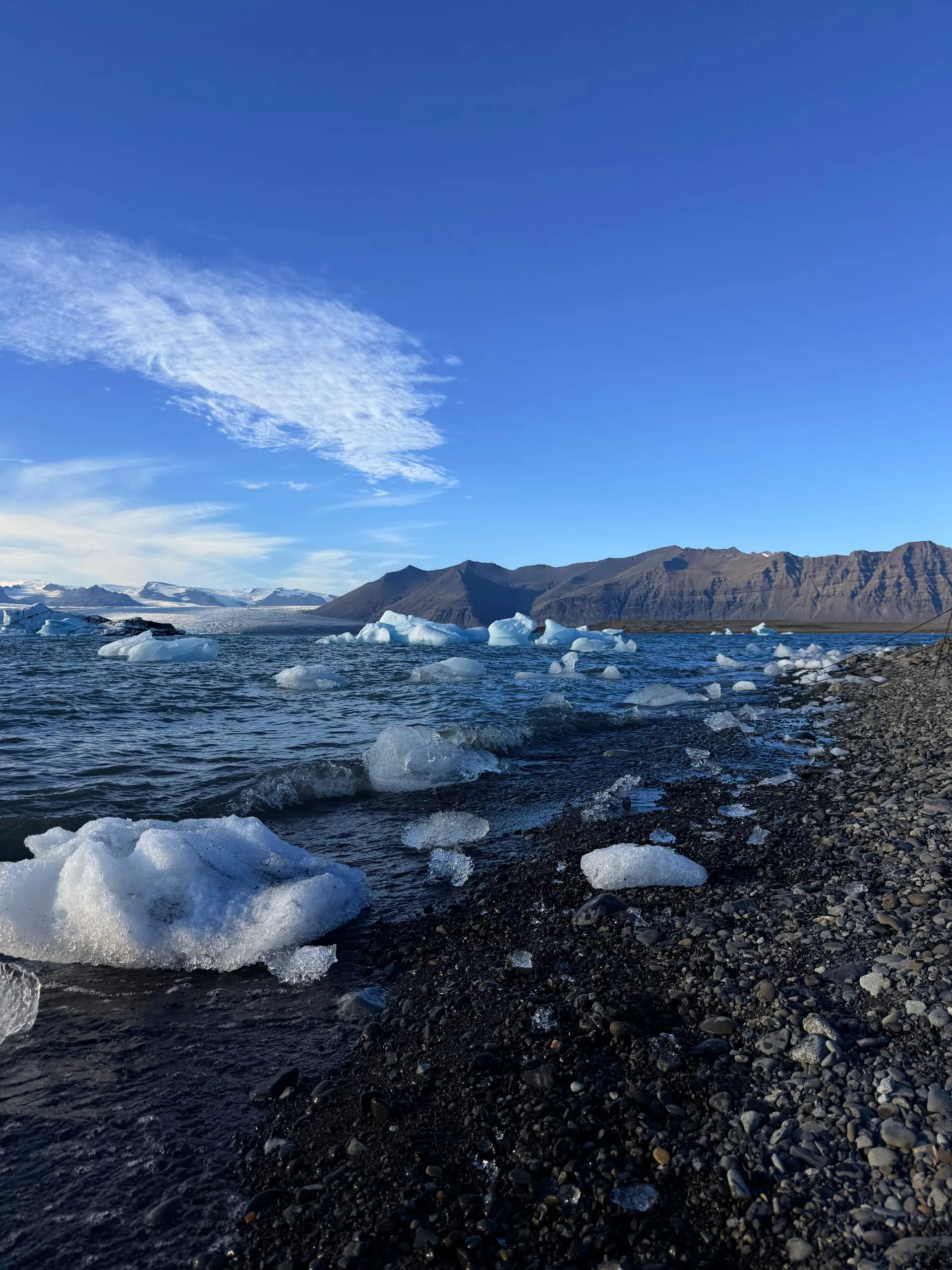 Icebergs floating in a still glacial lagoon under a deep blue sky, with a dark mountain ridge and the white line of a glacier behind, and black pebbles in the foreground
