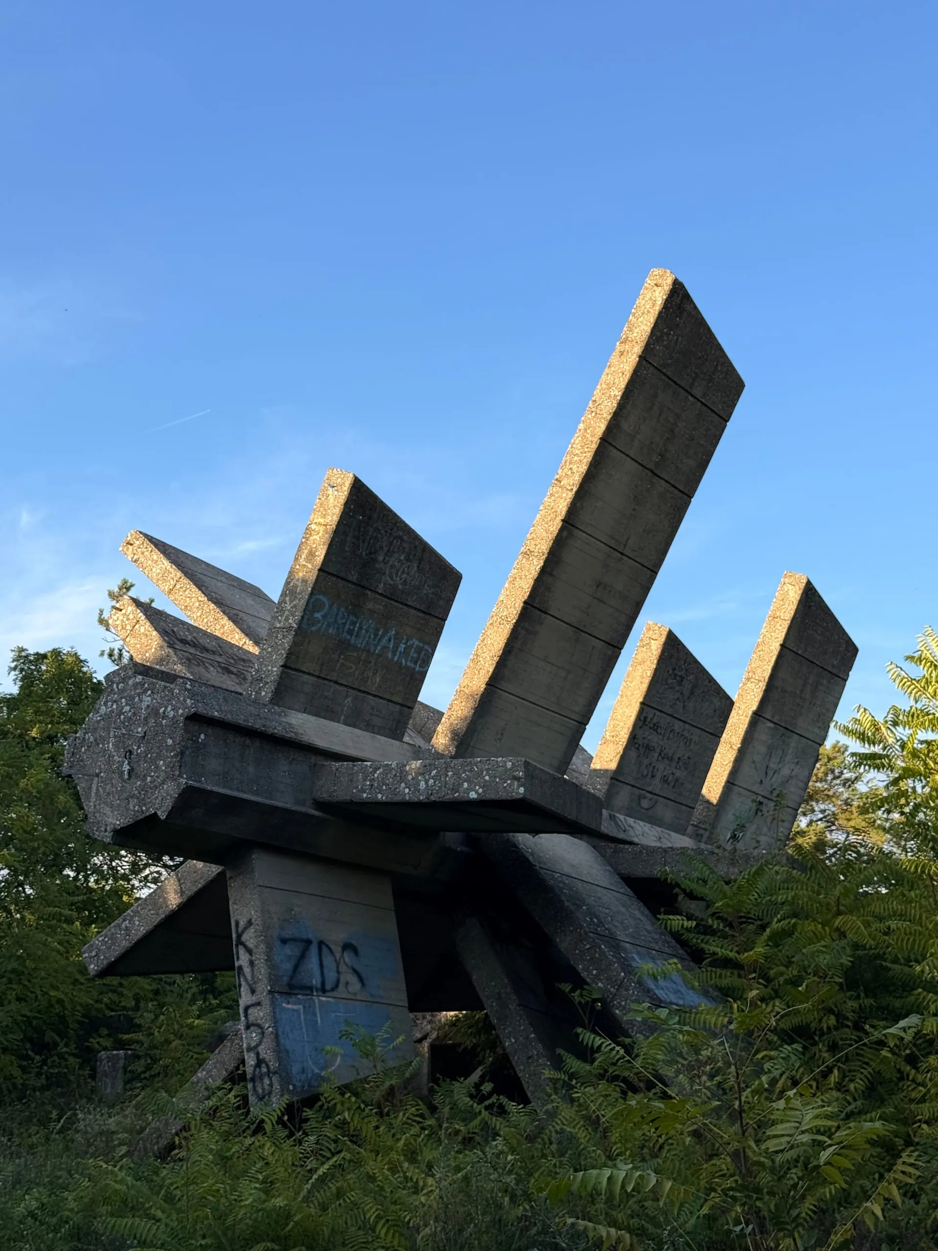 Angled slabs of exposed-aggregate concrete fanning up out of a low mass on a hilltop, their top edges lit gold by low sun, ferns and trees crowding the base