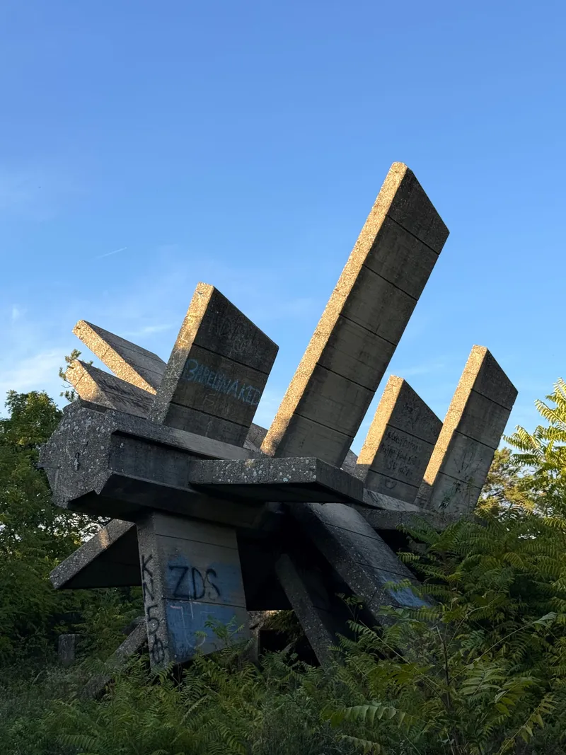Angled slabs of exposed-aggregate concrete fanning up out of a low mass on a hilltop, their top edges lit gold by low sun, ferns and trees crowding the base