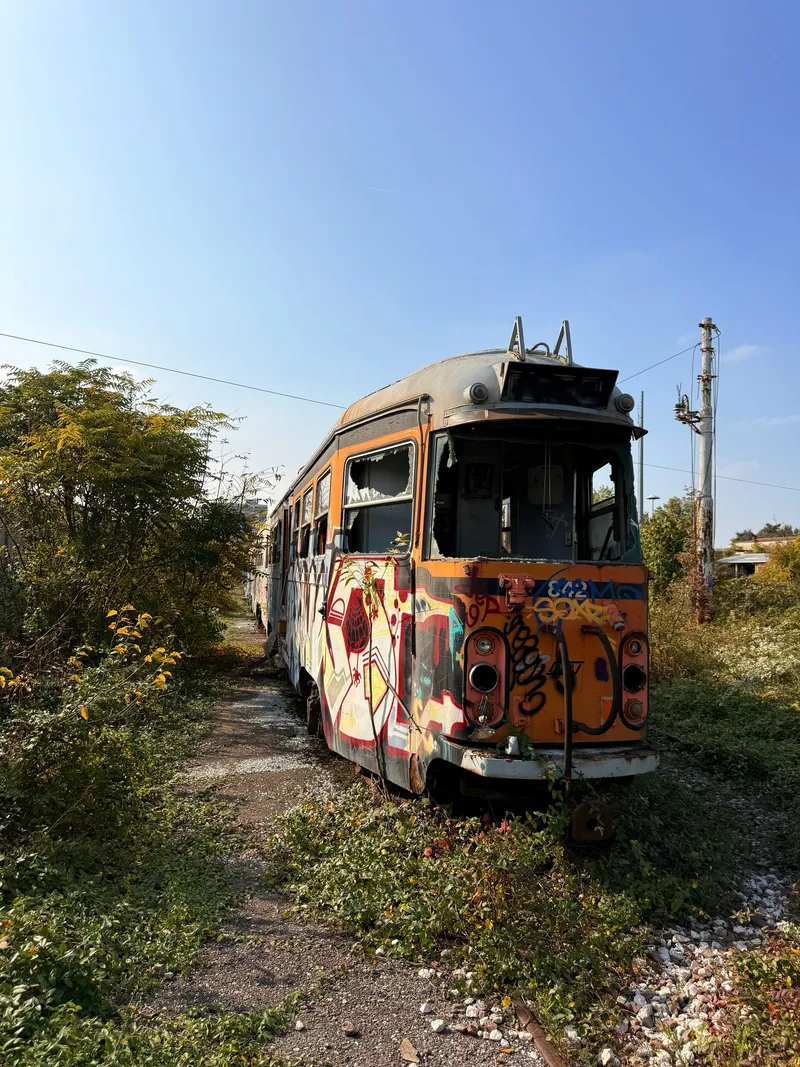 A line of abandoned, graffiti-covered trams on overgrown tracks at a depot near Desio