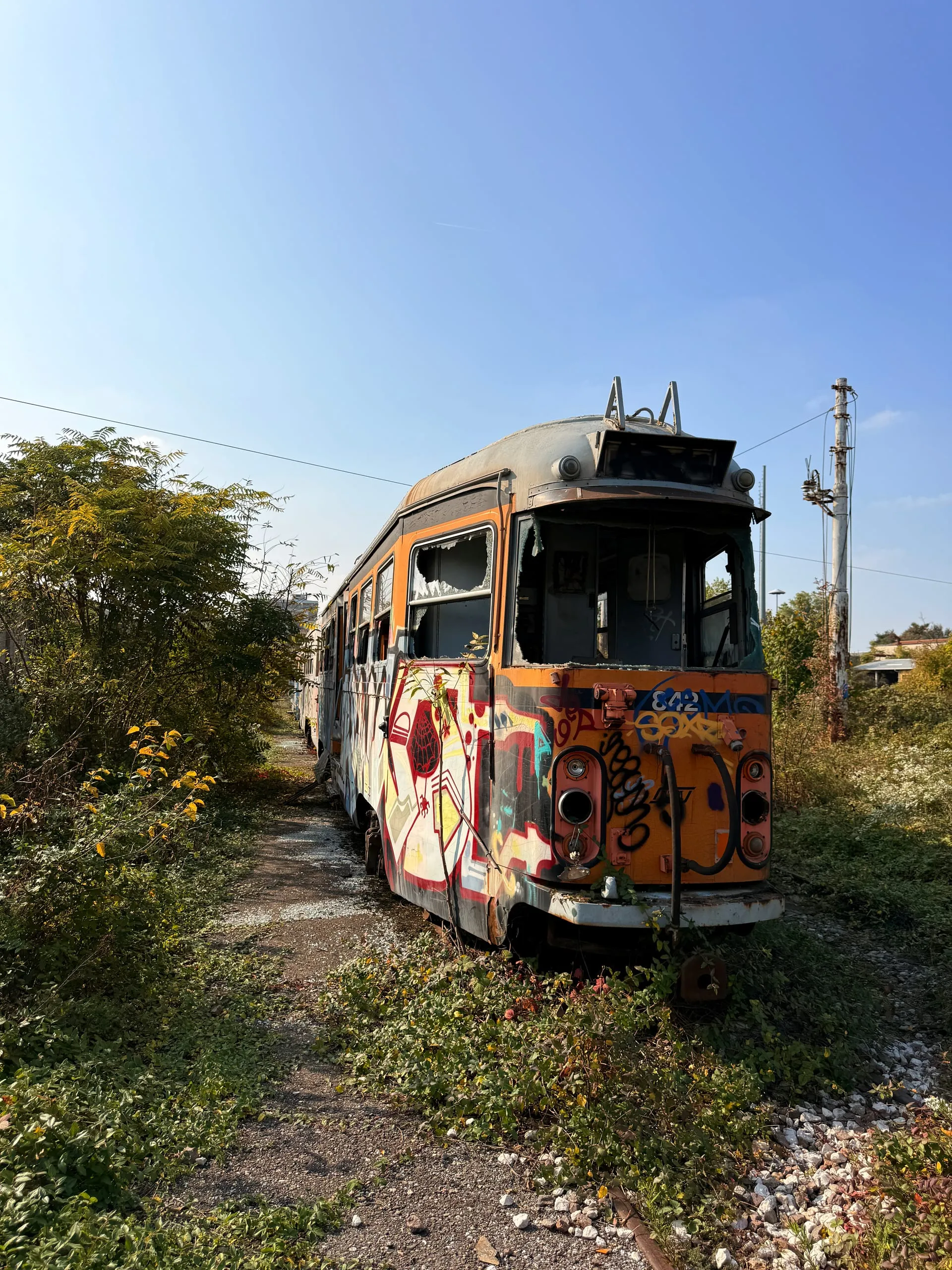 A line of abandoned, graffiti-covered trams on overgrown tracks at a depot near Desio